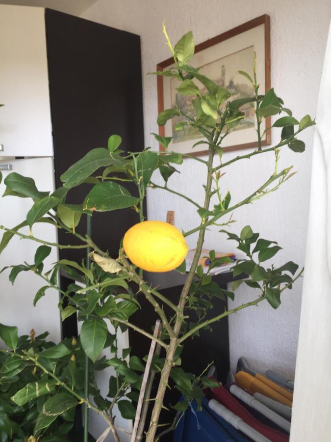 Apartment Lucija ノヴィ・ヴィノドロスキー エクステリア 写真